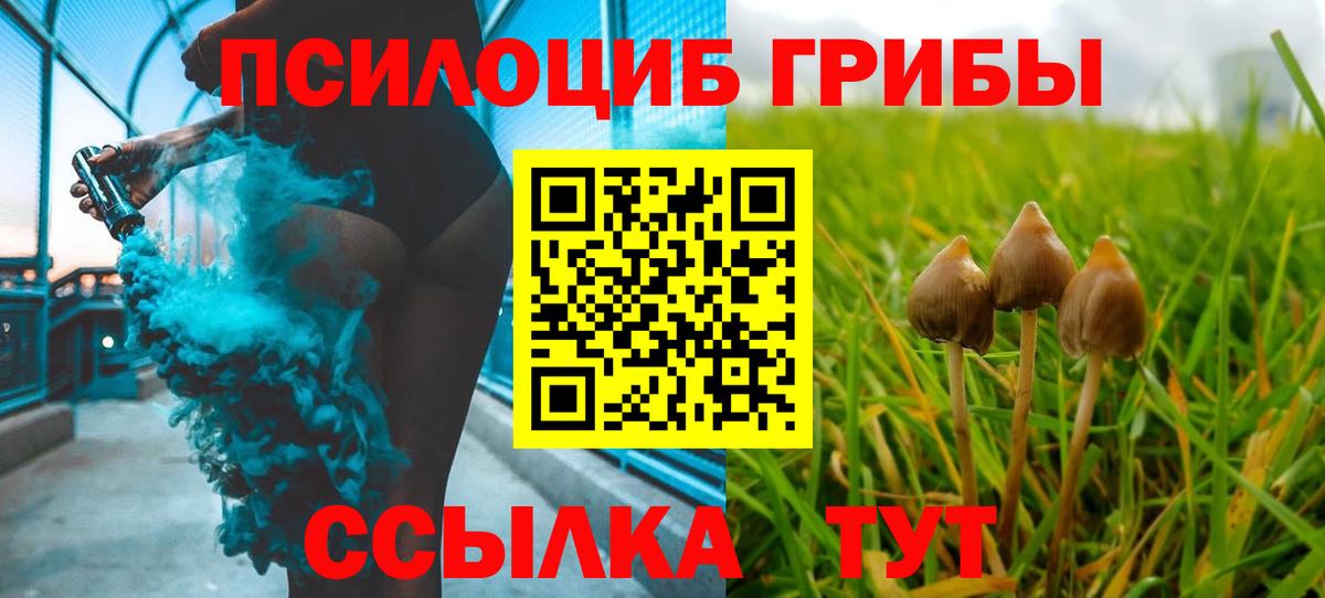 Галлюциногенные грибы прущие грибы Химки