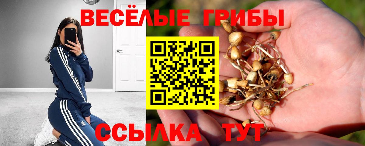 Псилоцибиновые грибы ЛСД  Вход с VPN  Химки 
